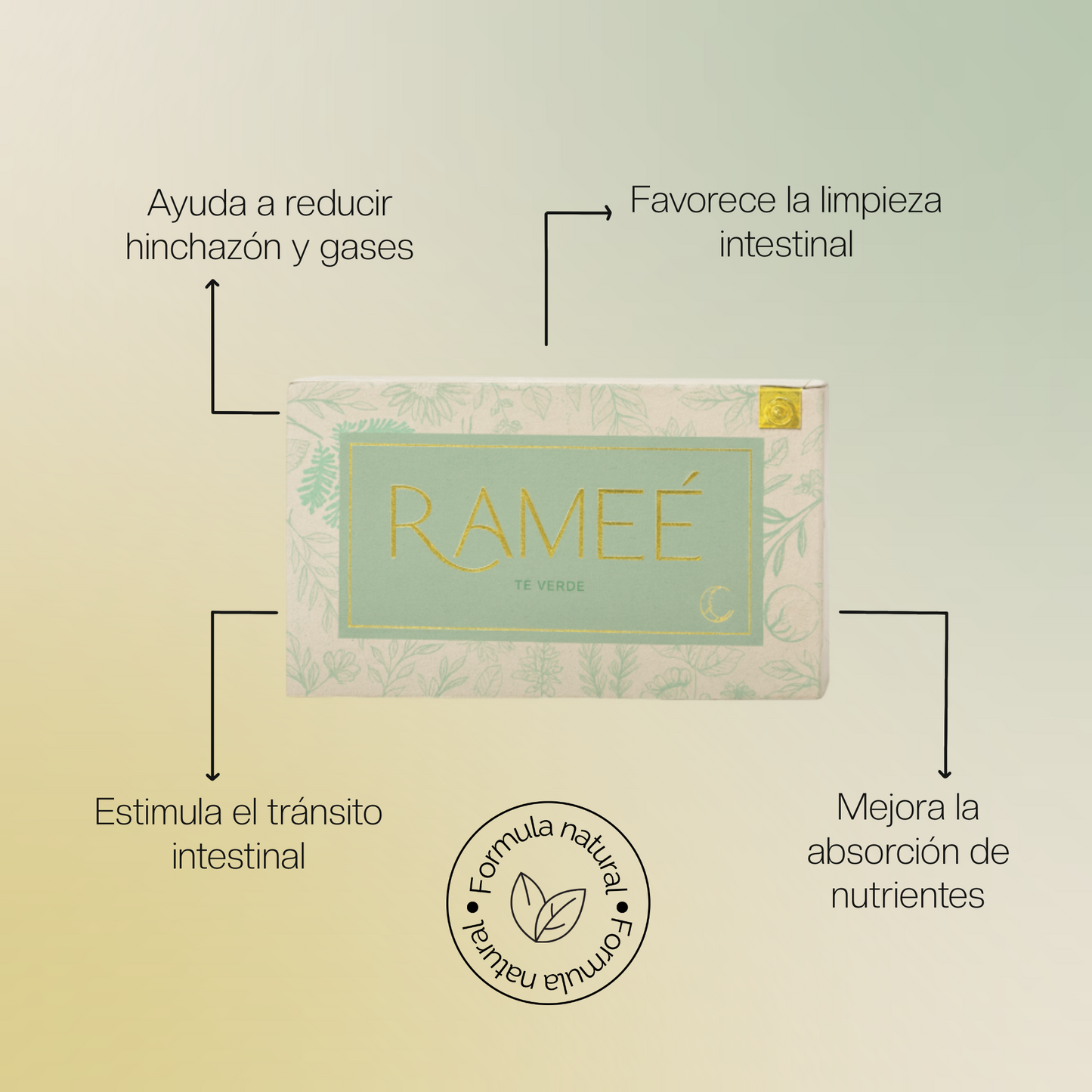 RAMEÉ TÉ ADELGAZANTE